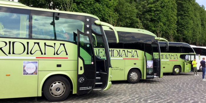 flotta meridiana bus new domino