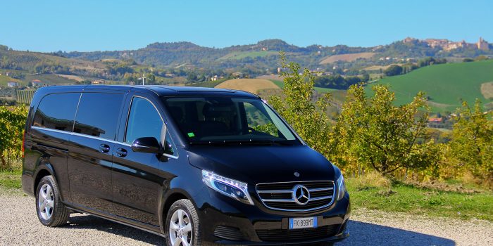 MERIDIANA flotta MERCEDES van 10